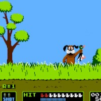 Duck Hunt