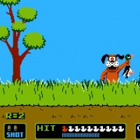 Duck Hunt Game