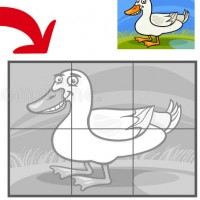 Duck Pond Puzzle